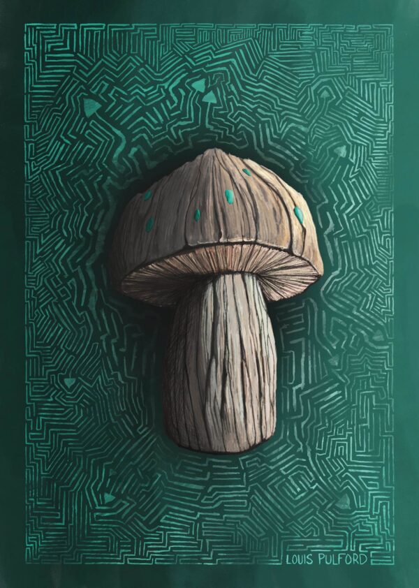 Mushroom sanctuary