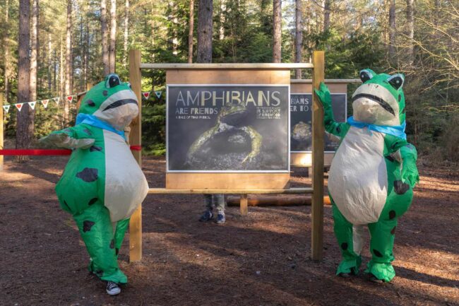 Amphibians are friends